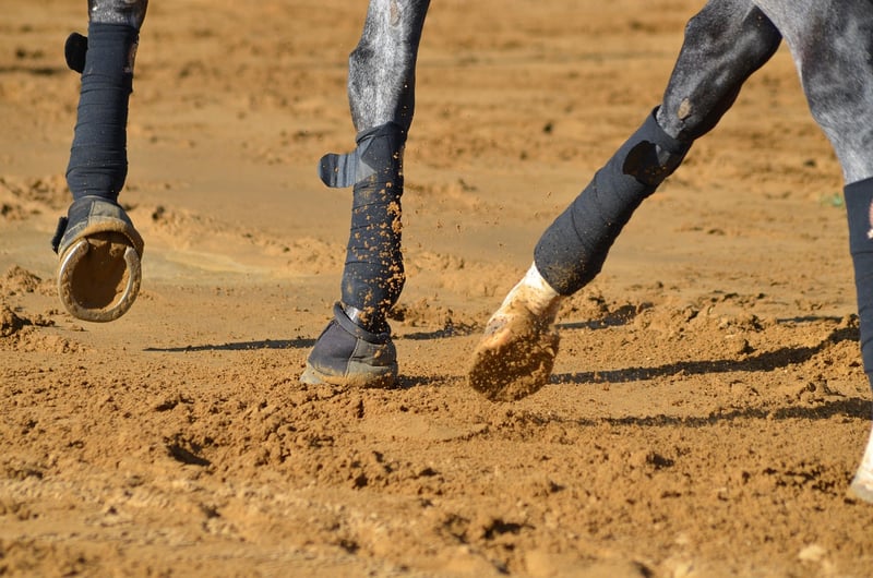 Slow-paced strides